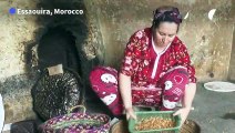 Moroccan argan oil craft faces uncertain future