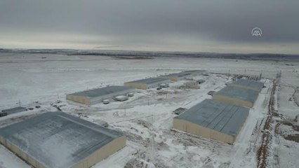 EKİBASTUZ - AA, Kazakistan'da dünyanın en büyük kripto para madenlerinden birini görüntüledi