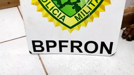 BPFRON apreende droga em ônibus na cidade de Cascavel