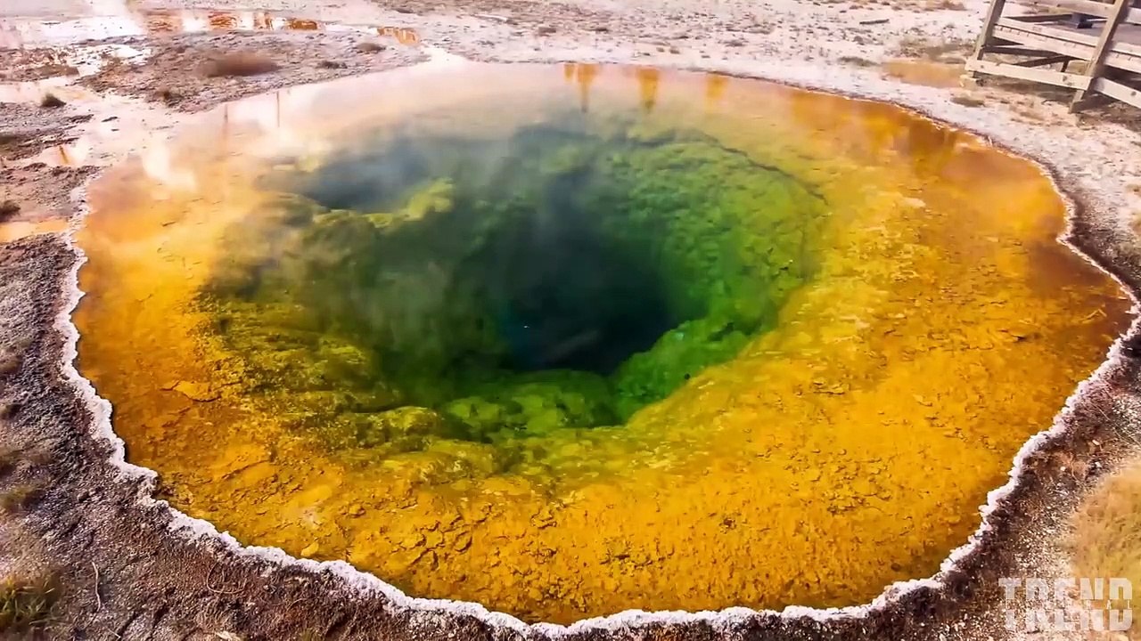 Don’t Ever Swim Here...