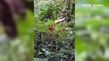 Türk gözlemci, 'müzisyen çıtkuşu'nun sesini kaydetti, dinleyenler büyülendi