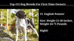 Best dog breeds in the world  #dog #pets #animals