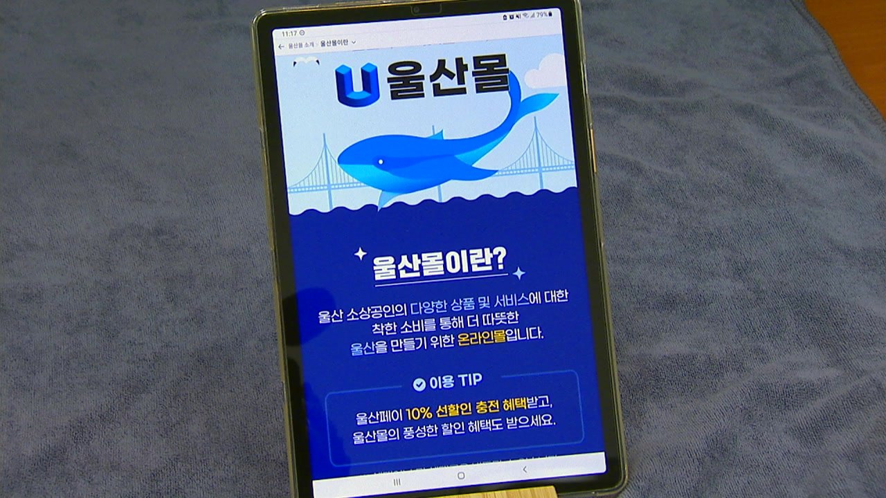 [울산] 울산시, 설 맞아 '울산몰'에서 특가 할인행사 마련 / YTN