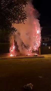 Los vecinos del Tablero denuncian una oleada de quema intencionada de setos de sus chalets