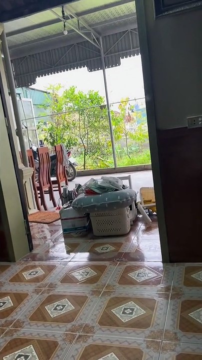 Tiễn con cháu về nhà nội cách 1km, ông ngoại sụt sùi không nỡ xa