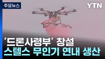 우리도 안전지대 아니다..."드론 사령부 조기 창설" / YTN
