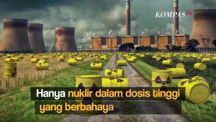 Apa Efek Radiasi Nuklir bagi Tubuh Manusia?