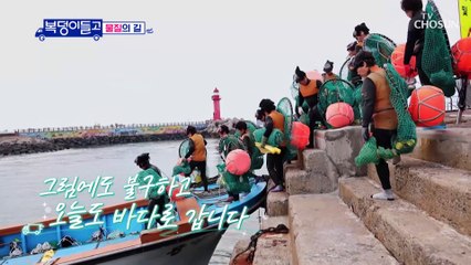 기본 반 백 년!? 경력의 해녀분들과 수다 타임 TV CHOSUN 230104 방송