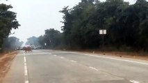 Guardas mandam parar condutores para deixar tigres passar estrada