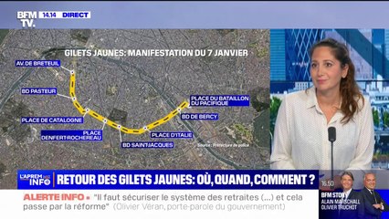 Des gilets jaunes manifesteront à Paris de l'Avenue de Breteuil jusqu'à Bercy, samedi prochain