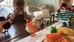 Kids Dress Chickens in Cupcake Liners and Organize Fashion Show For Them