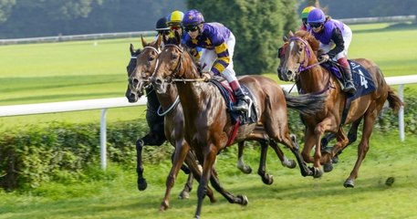 Finistère : il mise 2 euros sur un pari hippique et remporte plus de 300 000 euros