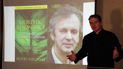 What Exactly Is the Universe TELLING Us About OUR Individual Cosmic Power?