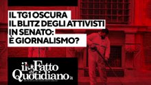 Il Tg1 oscura il blitz degli attivisti al Senato: è giornalismo? La diretta con Peter Gomez