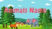 ANIMAL NAMES for Kids Video - Learn Animal Names for Children & Toddlers