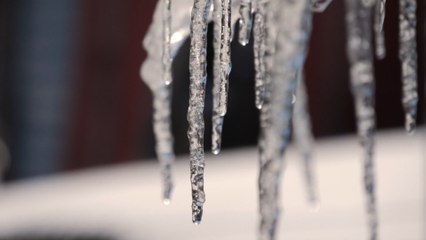 Glasgow headlines 4th January: Yellow weather warning issued for Glasgow