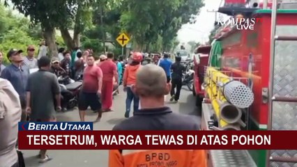Evakuasi Jenazah Warga  Probolinggo yang Tersetrum Hingga Tewas  di Atas Pohon