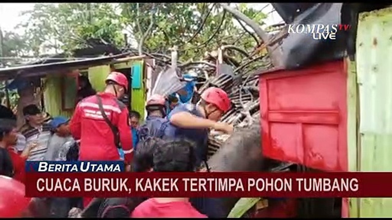 Waspada Cuaca Buruk! Kakek Tertimpa Pohon Tumba...