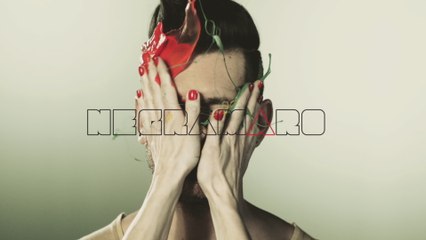 Negramaro - Una storia semplice