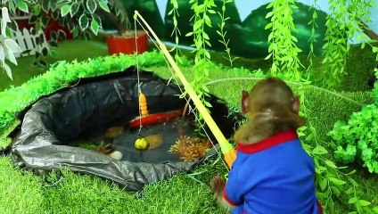 Baby Monkey  Bim Bim Goes Koi Fishing And Eats With Kittens Puppy