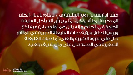 تفسير رؤية الفليفلة في المنام وحلم أكل الفليفلة