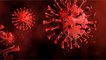 Grippe : l’épidémie ralentit… mais gare au rebond, notre carte de France