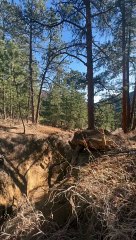 Guy on Bike Hits Tree