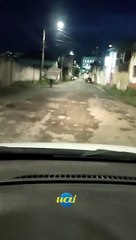 Mulher obriga ladrão a devolver portão furtado em Varginha