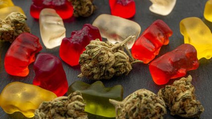 Huge spike in number of children accidentally eating cannabis edibles