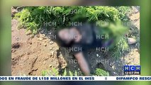 ¡Triste! Junto a una maleta, hallan muerta a mujer tras naufragio de un pipante en Colón