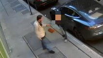 Moment thief snatches elderly woman’s purse on NYC street, knocking her over