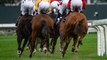 «Courses hippiques, la grande triche ?» : les coulisses du documentaire choc sur le dopage des chevaux