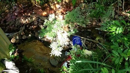 Mulher fica ferida após cair em riacho no Pioneiros Catarinenses