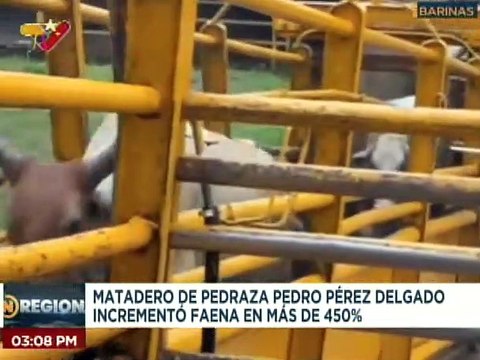 Barinas | Centro de matadero “Pedro Pérez Delgado” recupera sala de faena y dos túneles de frío