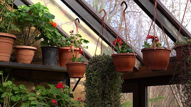 Spinach Piroshki_ Homemade Stuffed Fried Buns