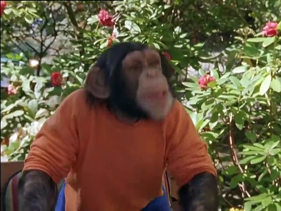 Unser Charly Staffel 7 Folge 5