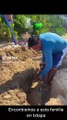 Familia hizo sus propias sillas y mesas en la playa para no pagar alquiler