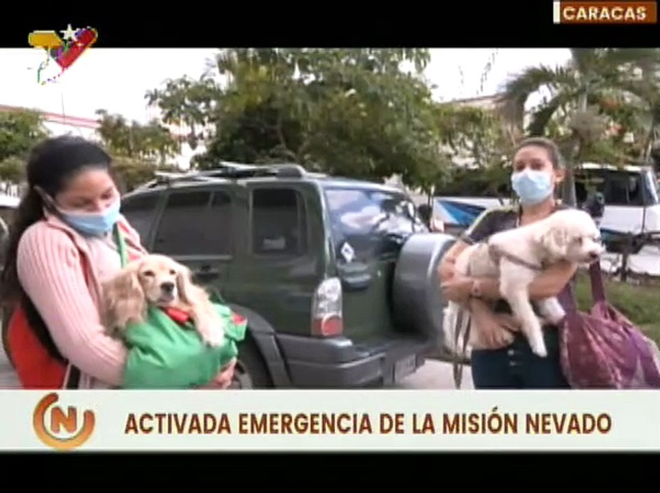 Caracas | Misión Nevado activa sistema de emergencia para la atención de los caninos y felinos
