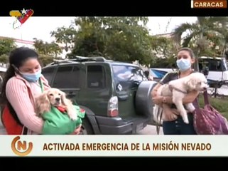 Caracas | Misión Nevado activa sistema de emergencia para la atención de los caninos y felinos