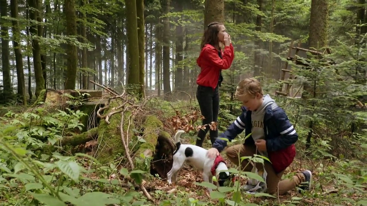 Tiere bis unters Dach Staffel 7 Folge 13