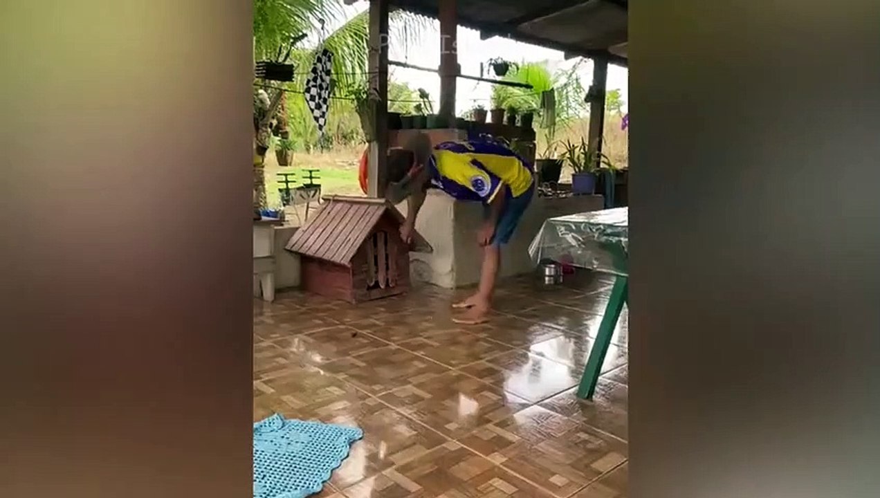 Pets Getting Scared Over Nothing - Funny Cat And Dog Videos Pets Island_Trim