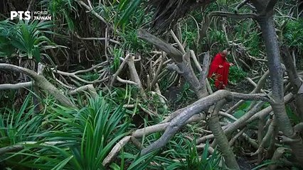 Trailer | Sand  | Tsai Ming-liang 蔡明亮 | 沙