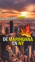 La primera tienda de marihuana recreativa en NY