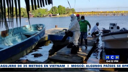 Download Video: Influenza Aviar estaría afectando a cientos de pelicanos en la zona norte del país