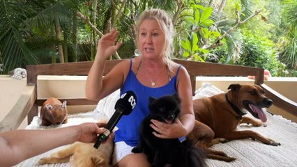 Little dog rescued from a snake by its owner on a Queensland beach.