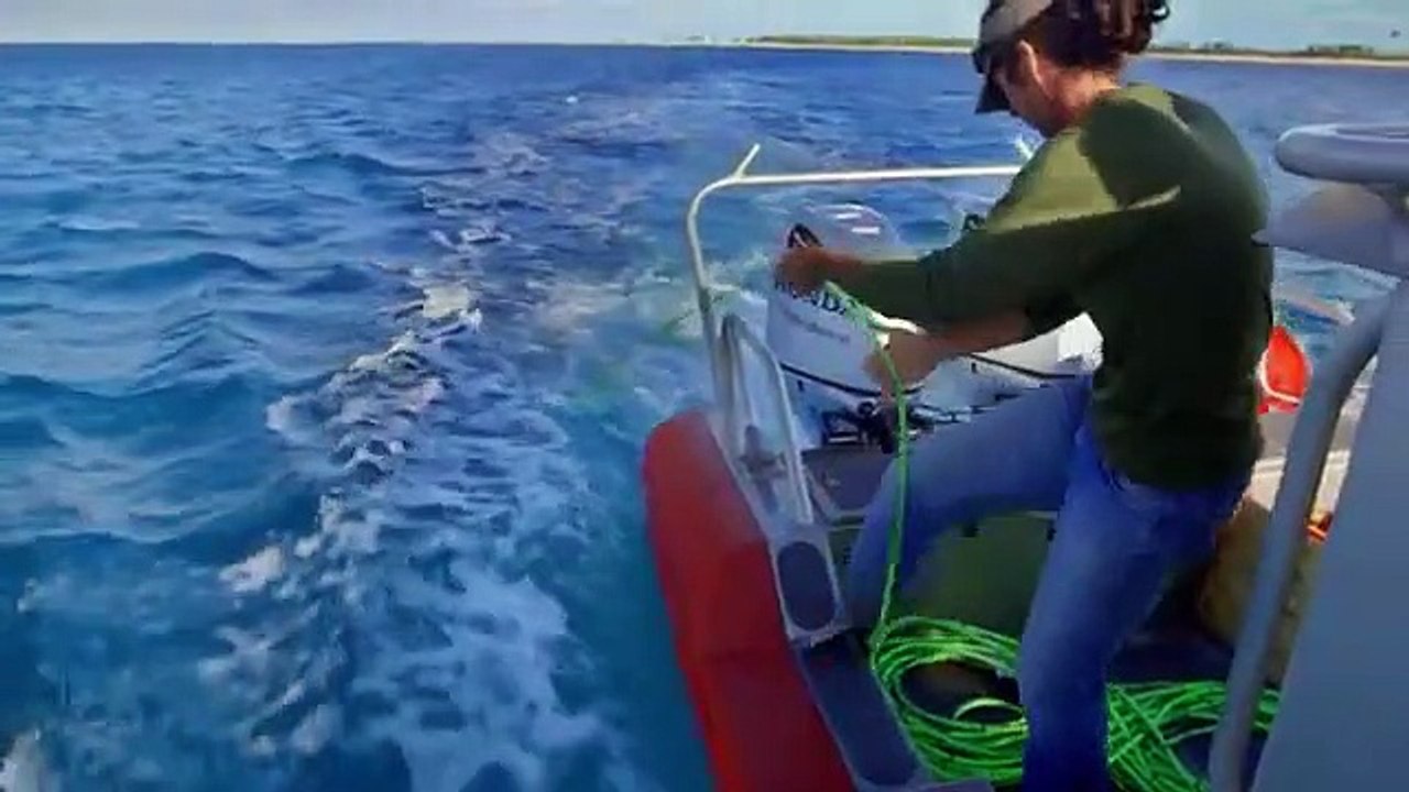 Cooper's Treasure - Se2 - Ep01 HD Watch