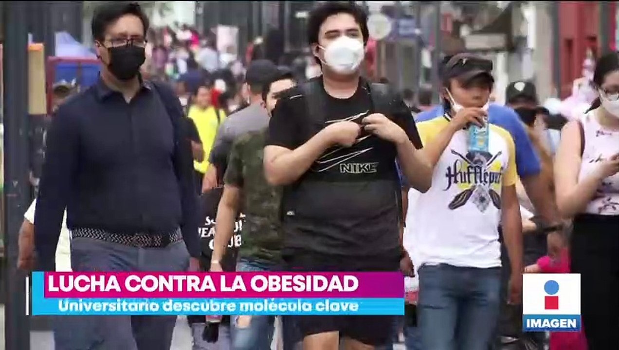 Universitario descubre molécula que podría ayudar a la lucha contra la obesidad
