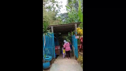 Family tourism, EMBUNG CEMPAKA natural swimming pool, in Pakis, Malang Regency, East Java, Indonesia