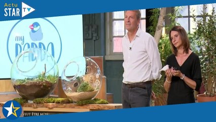 Qui veut être mon associé ? : "C'est quoi ce business ?" "Et le bien-être animal ?!"... Les internau
