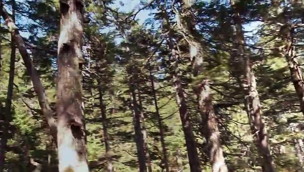 MeatEater - Se5 - Ep14 HD Watch